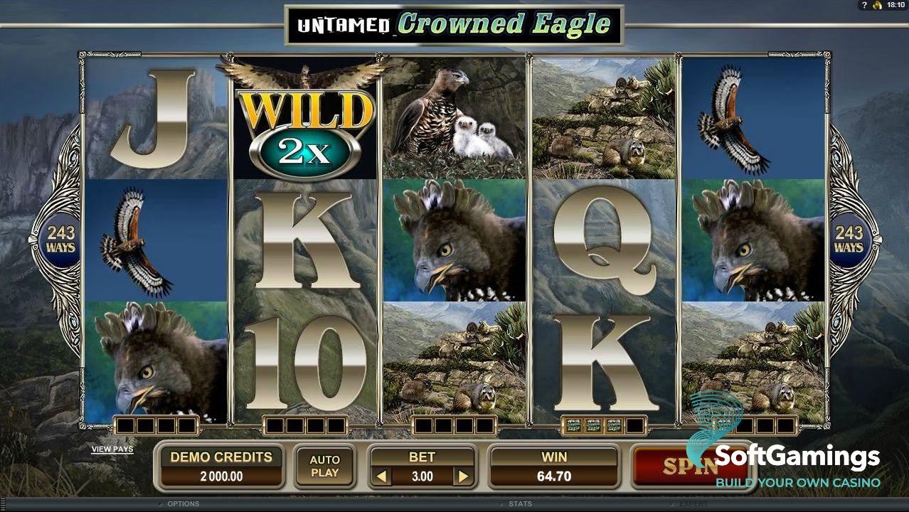 Untamed Crowned Eagle