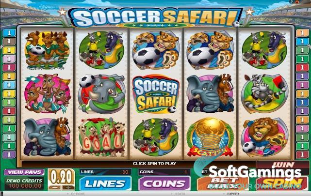 Soccer Safari