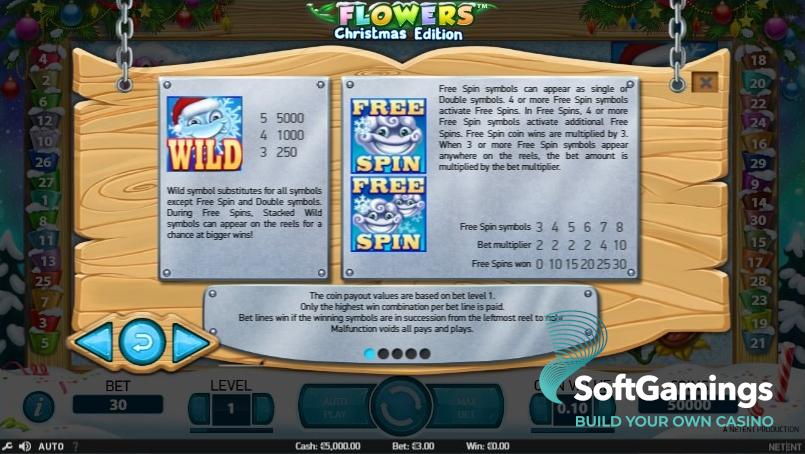 FlowersChristmas Edition