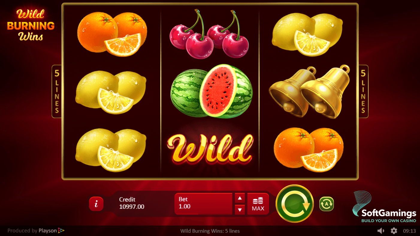 Wild Burning Wins: 5 Lines - Игры | SoftGamings