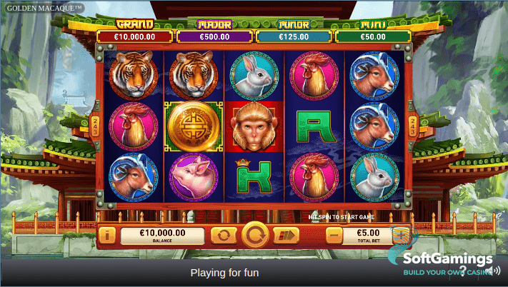 Fire Blaze: Golden Macaque