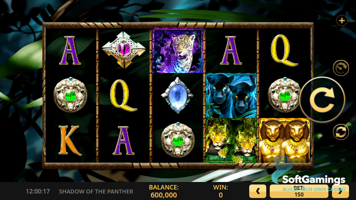 Shadow of the Panther