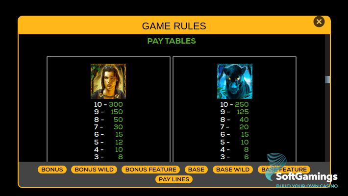 Shadow of the Panther