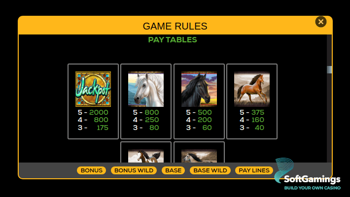 Wild Horses